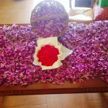 Centuria San Pio delle Camere