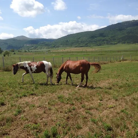 Farm stay Centuria *