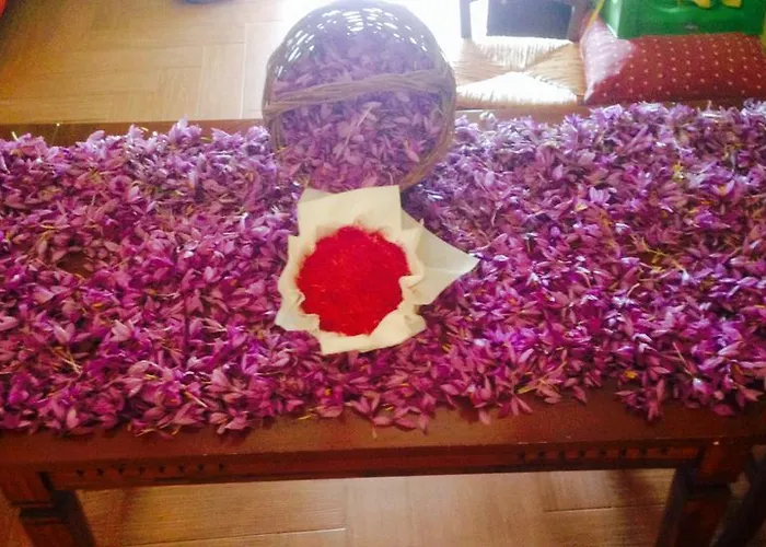 Centuria San Pio delle Camere