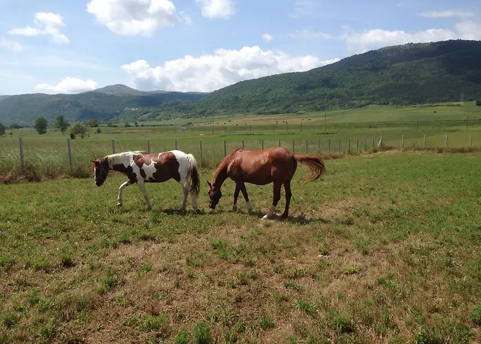 Farm stay Centuria *